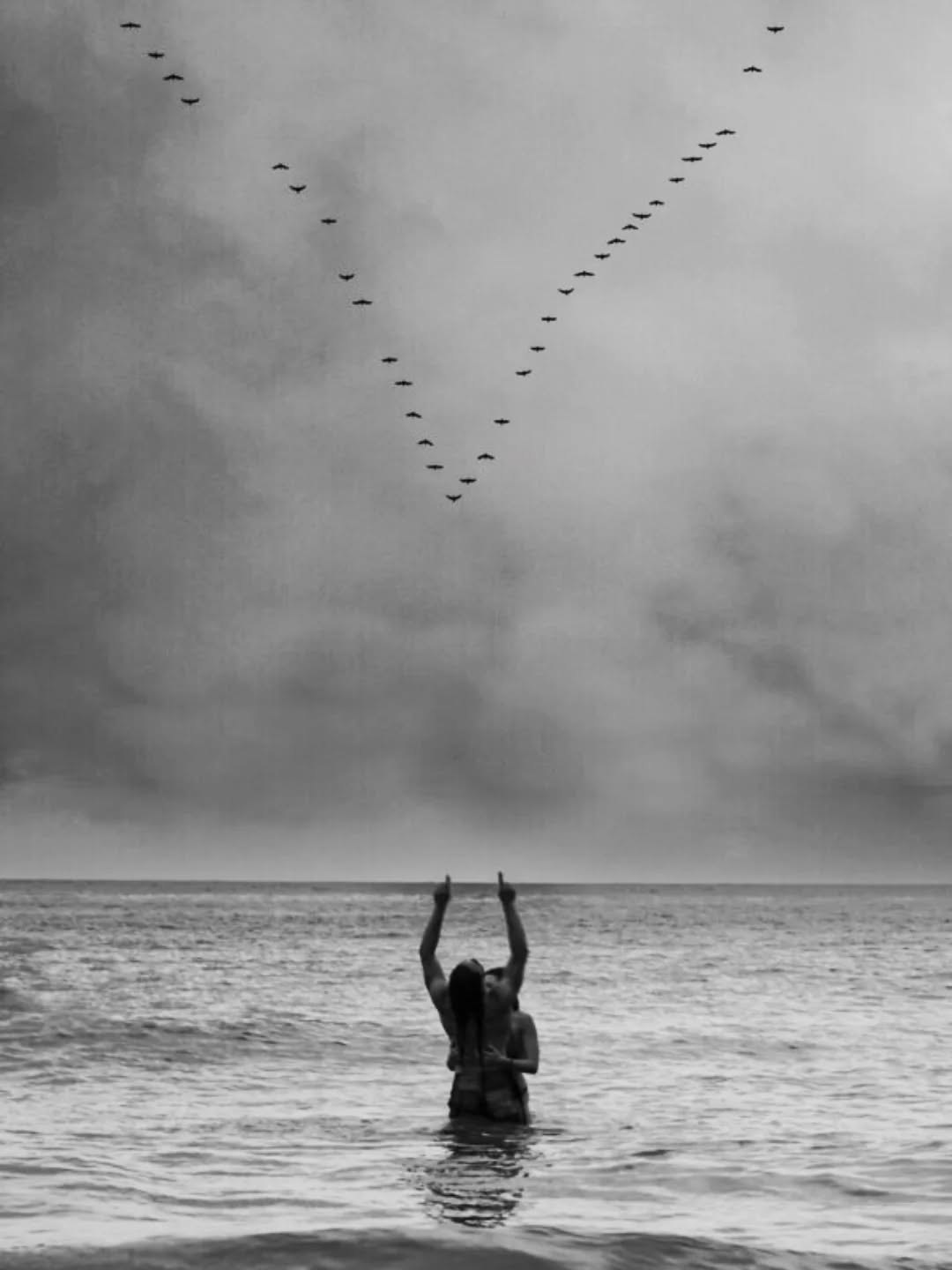 Photograph of birds flying low over the sea