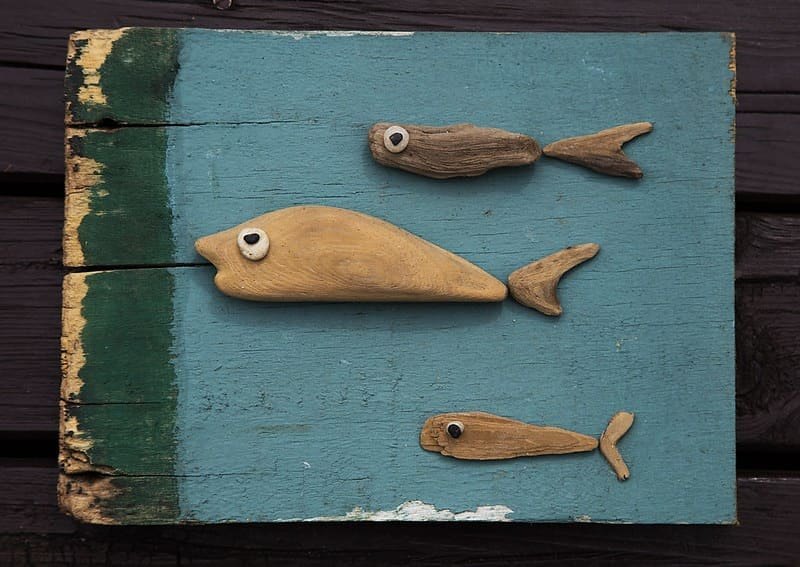 Driftwood fish family mounted on a painted teal wooden board